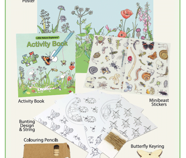 Art & Activity Set contents