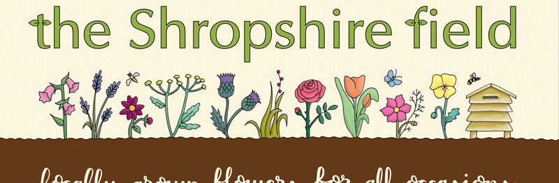 Flowers, botanical logo design Emma Lawrence Designs