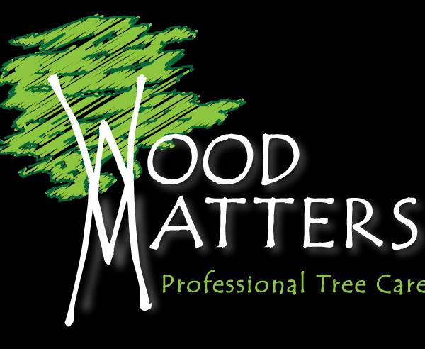 Rebranding, logo design & Illustration Emma Lawrence Designs
